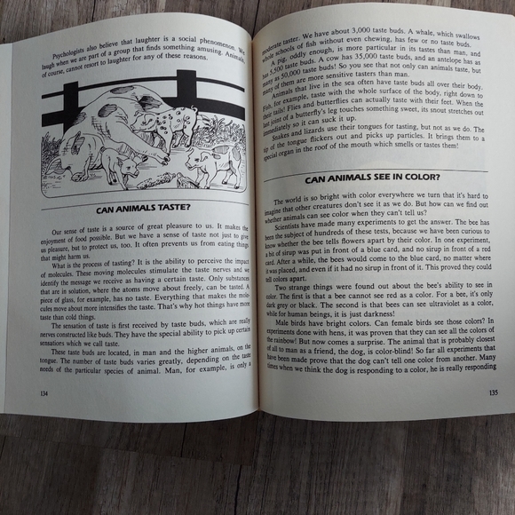 The Big Book of Tell Me Why 1989 Classic Kids Book - Picture 10 of 16